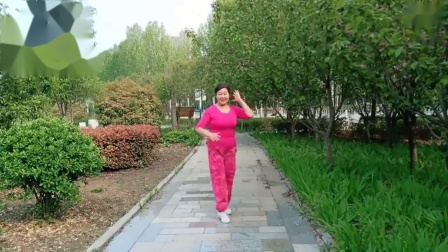 辣妈炫舞广场舞《错过的情人》