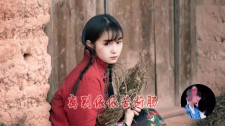 莆仙戏秦香莲《琵琶诉》唱段