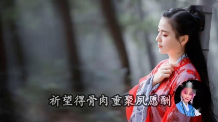 莆仙戏《二度新郎》唱段