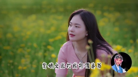莆仙戏《窦娥冤》
