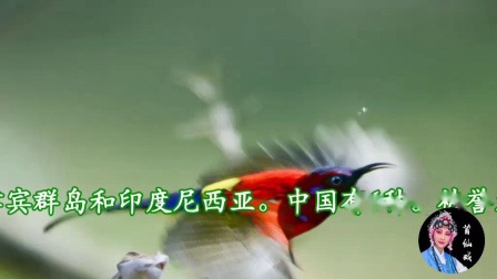 莆仙戏《春风颂》