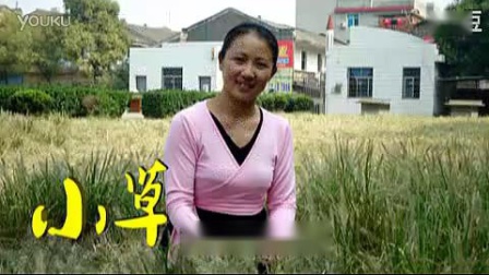 高安子君广场舞《美丽的康巴姑娘》
