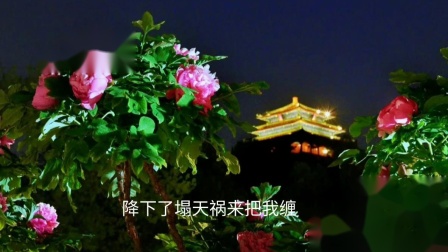河北梆子《蝴蝶杯》选段打死了帅府子