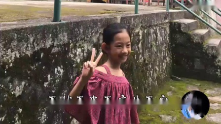 莆仙戏《万牌令》纯净版