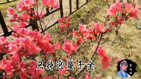 莆仙戏《梁州序》唱段