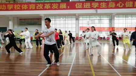 陈式24式养生太极拳