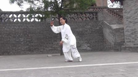 传统杨氏八十五太极拳 梁芳老师下载