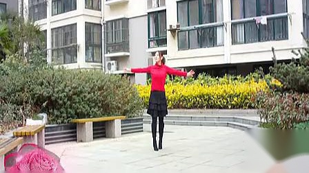 青儿广场舞 《红尘情歌》 黑鸭子