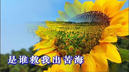 评剧《红色娘子军》选段 做一朵葵花永远像