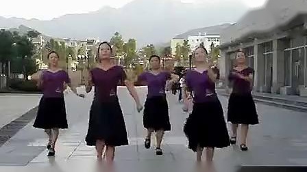 紫蝶踏歌广场舞《刘海砍樵》下载
