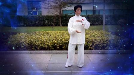 第四集林家菡郑子太极拳