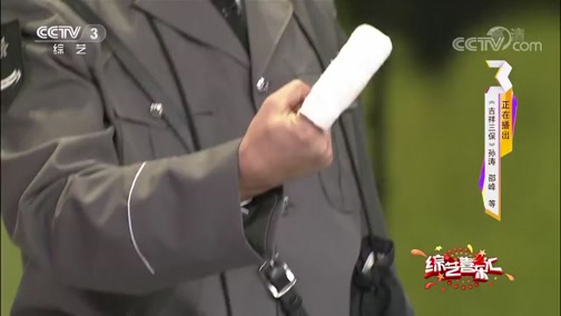 《综艺喜乐汇》 20190519 平凡的情感