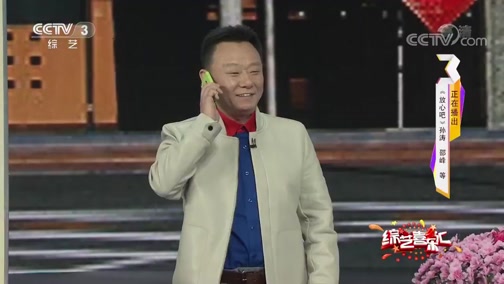 《综艺喜乐汇》 20190513 平凡的情感下载
