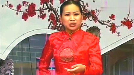 河南坠子戏《婆媳打乱套》胡中花演唱的很经