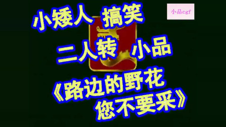 小矮人小品《路边的野花您不要采》观众掌声
