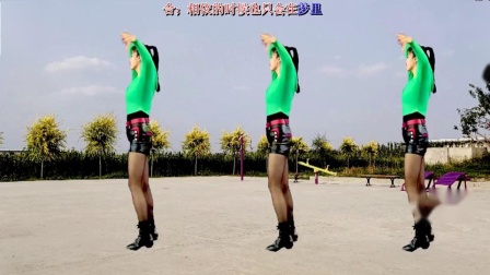 阿采广场舞教学《今生无缘来生再聚》好听  