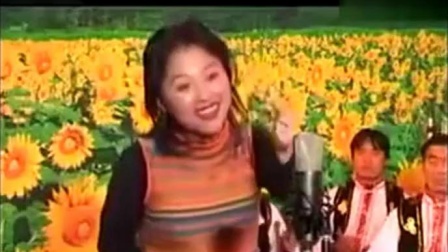 上党鼓书经典《潞城家》