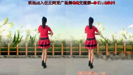 最新广场舞DJ《为何要伤我的心》阿采广场舞
