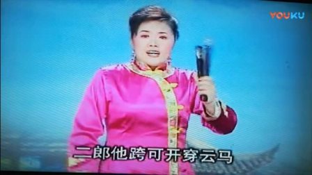 河南坠子名家经典唱段合集 下集