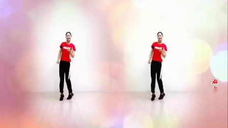 金灿灿广场舞 《灰姑娘》 32步 背面