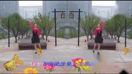 金灿灿广场舞《蝶恋花》