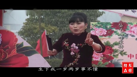 河南坠子《呼家将》选场 胡银花演唱下载
