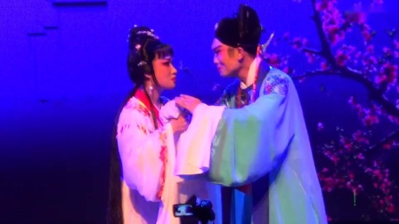 闽剧 《状元娶妻》1高清