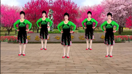 吕芳广场舞《在那桃花盛开的地方》经典老歌优美舞蹈附教学下载