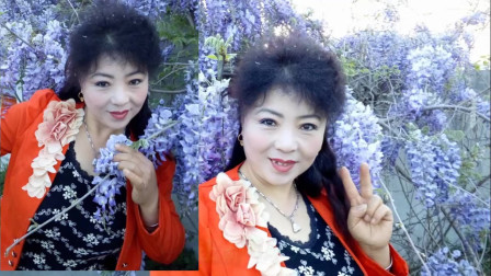 吕芳广场舞《想让雨滴问问你》俺家紫藤花开了好茂盛下载