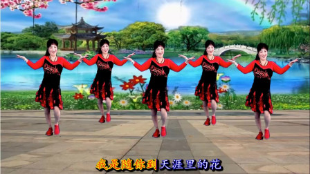 最新吕芳广场舞 原创《随你花DJ》32步健身舞附教学下载