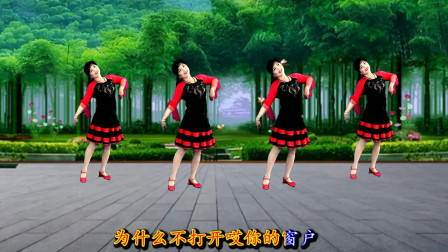 吕芳广场舞《月光下的凤尾竹》傣族风格三步舞附分解下载