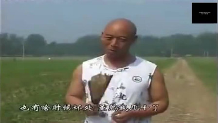 民间小调《两个光棍采野花》之自白4