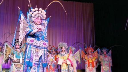 山西长治上党梆子《杨门女将》  专业剧团就
