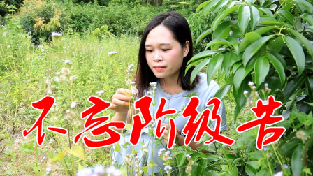 一首民间小调《不忘阶级苦》60年代经典老歌