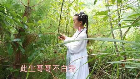 民间小调《只怪哥哥太懦弱》山歌男女对唱 