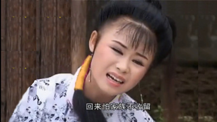 庐剧《喜娘哭娘》 见母亲去人世 我心中又急