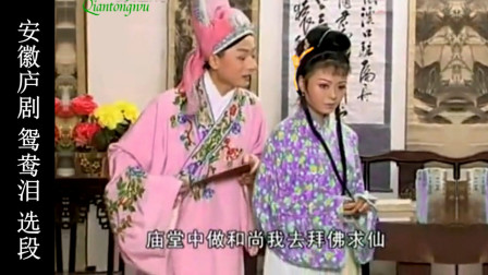 庐剧《鸳鸯泪》选段 今生我只与表妹把婚配 