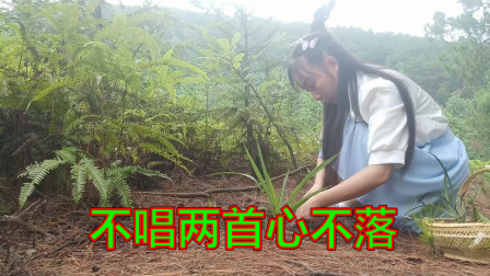 民间小调《小哥有棵好良心》对山歌