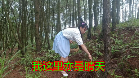 民间小调《千言万语难说出》对山歌