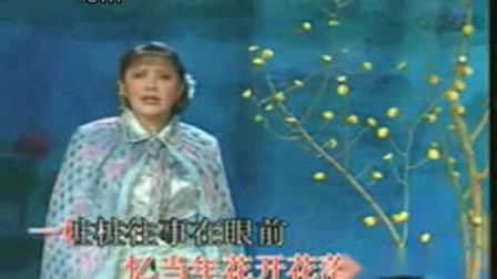 沪剧音配像《梅芬自叹》念慈翻唱重录