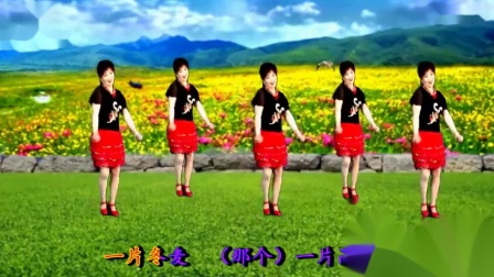吕芳广场舞《在希望的田野上》 老歌好学舞下载