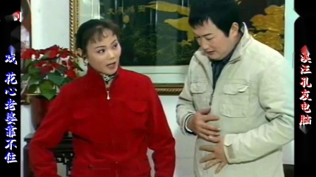 庐剧现代戏《花心老婆靠不住》宽屏版选段 陈应兰 张承芳 刘长芳 胡俊 黄大龙下载