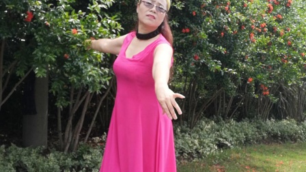 舞灵美娜子广场舞  《梦见你的那一夜》