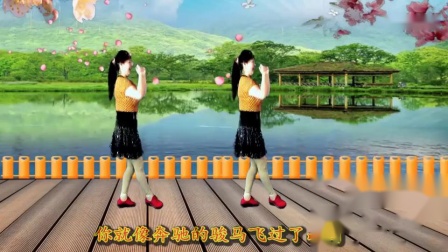 最新吕芳广场舞《火火的情郎》简单动感32步正背面及分解动作下载