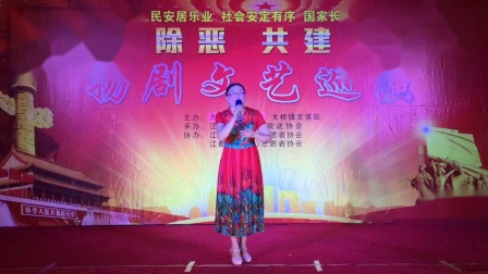 扬剧《二人莫将泪雨泻》演唱者 王小妹