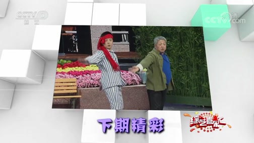 《综艺喜乐汇》 20190721 小人物的大智慧下载