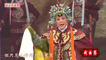 绍剧《佘太君祭旗》表演 施洁净下载