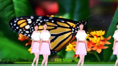 俏皮有趣广场舞《我就是这么可爱》入门20步
