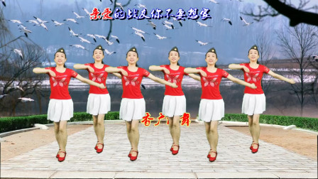 怀旧老歌广场舞《军中绿花》红色经典 优美
