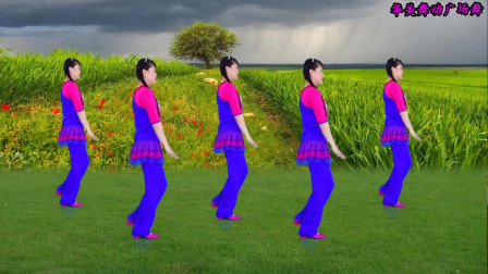 入门级10步广场舞《青青河边草》歌曲好听 
